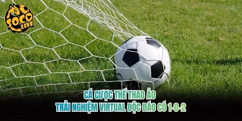Cá Cược Thể Thao Ảo | Trải Nghiệm Virtual Độc Đáo Có 1-0-2
