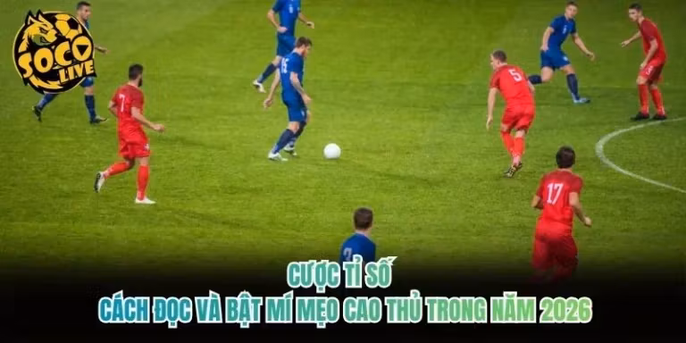 Cược Tỉ Số - Cách Đọc Và Bật Mí Mẹo Cao Thủ Trong Năm 2026
