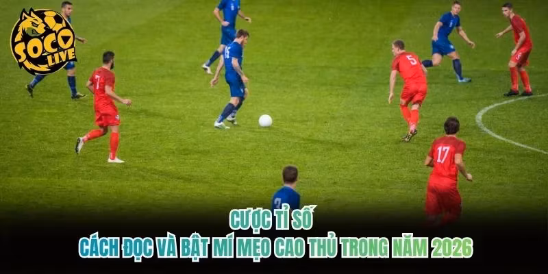 Cược Tỉ Số - Cách Đọc Và Bật Mí Mẹo Cao Thủ Trong Năm 2026