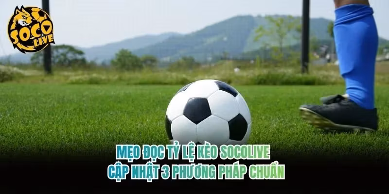 Mẹo Đọc Tỷ Lệ Kèo Socolive - Cập Nhật 3 Phương Pháp Chuẩn