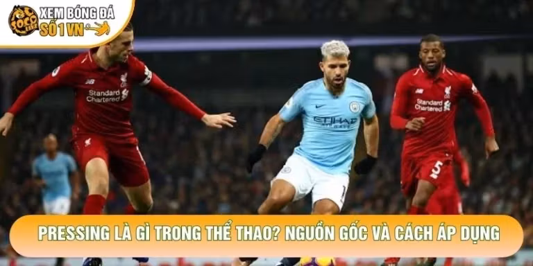 Pressing Là Gì Trong Thể Thao? Nguồn Gốc Và Cách Áp Dụng