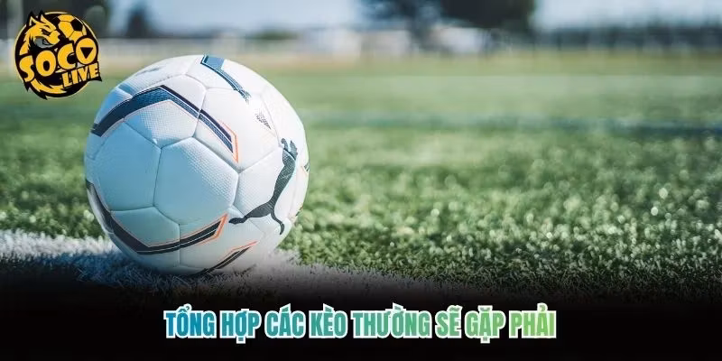Tổng Hợp Các Kèo Thường Sẽ Gặp Phải